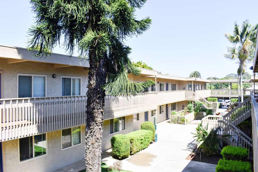 Elevated view of inside of community with tropical landscaping