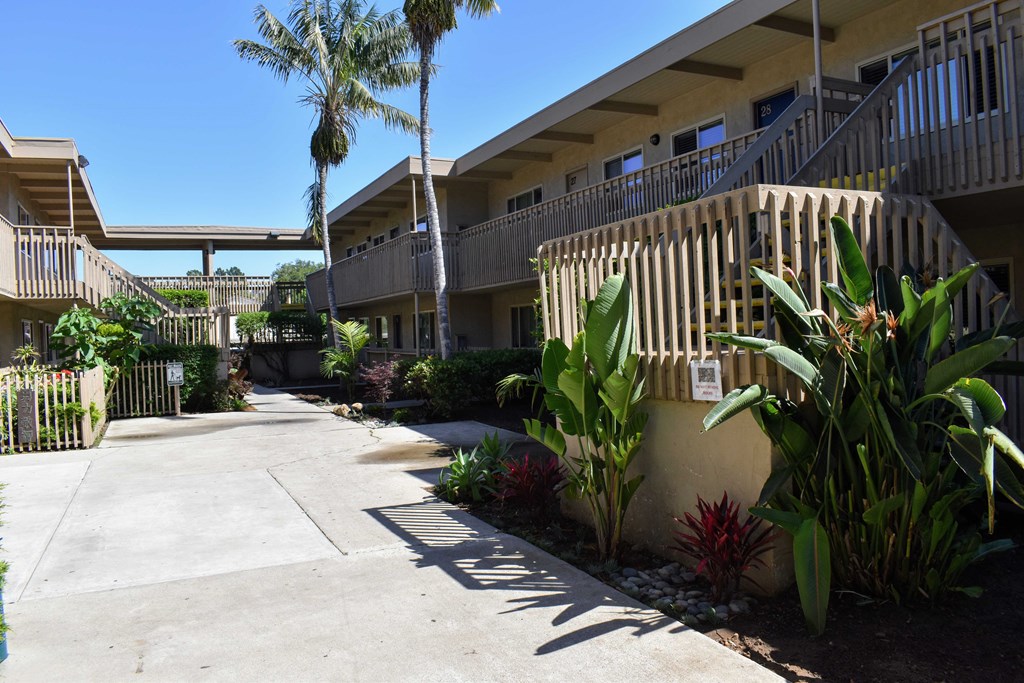 View of inside of community with tropical landscaping