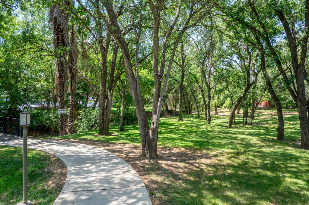 View of shaded courtyard
