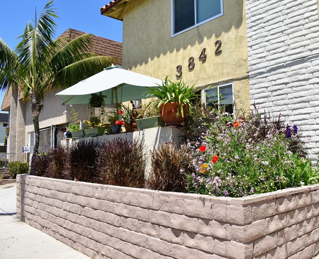 a retaining wall in front of a building with flowers