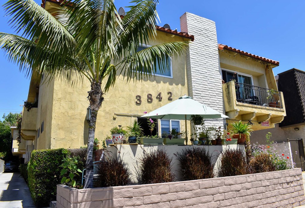 a house with a palm tree in front of it
