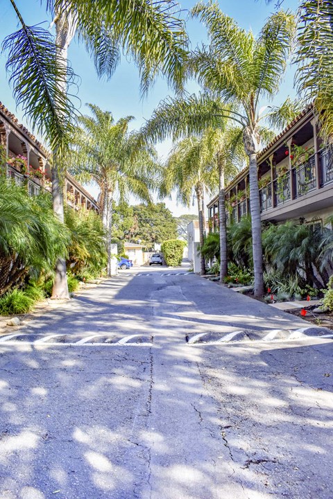 View of community with tropical landscaping