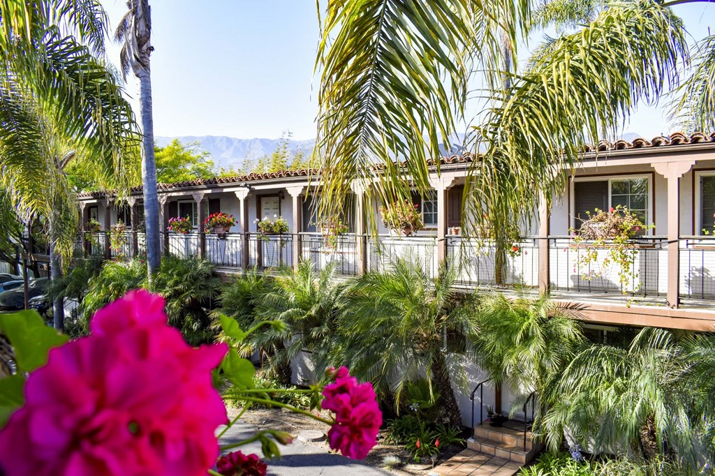 Elevated view of property front with tropical landscaping
