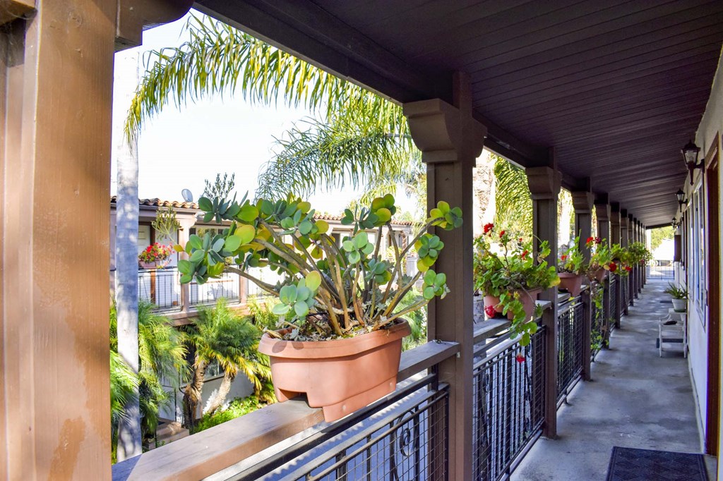 View of potted plants on railing with tropical landscaping in background