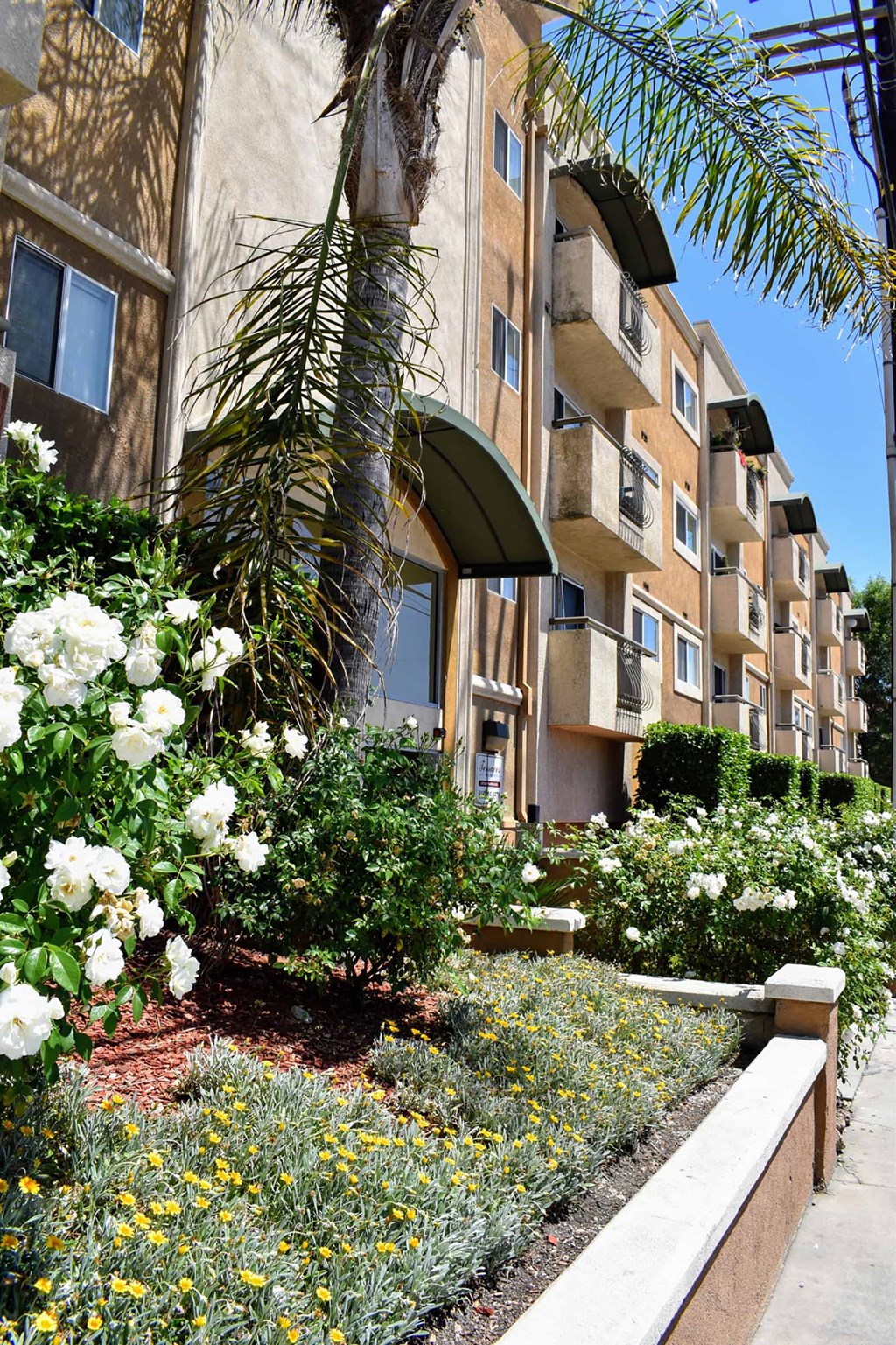 Exterior view of Terraces at Madrona, and lush landscaping