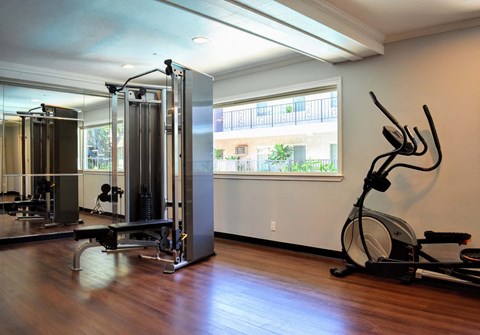 Community gym featuring elliptical and weight machine with wood look flooring and well lit window