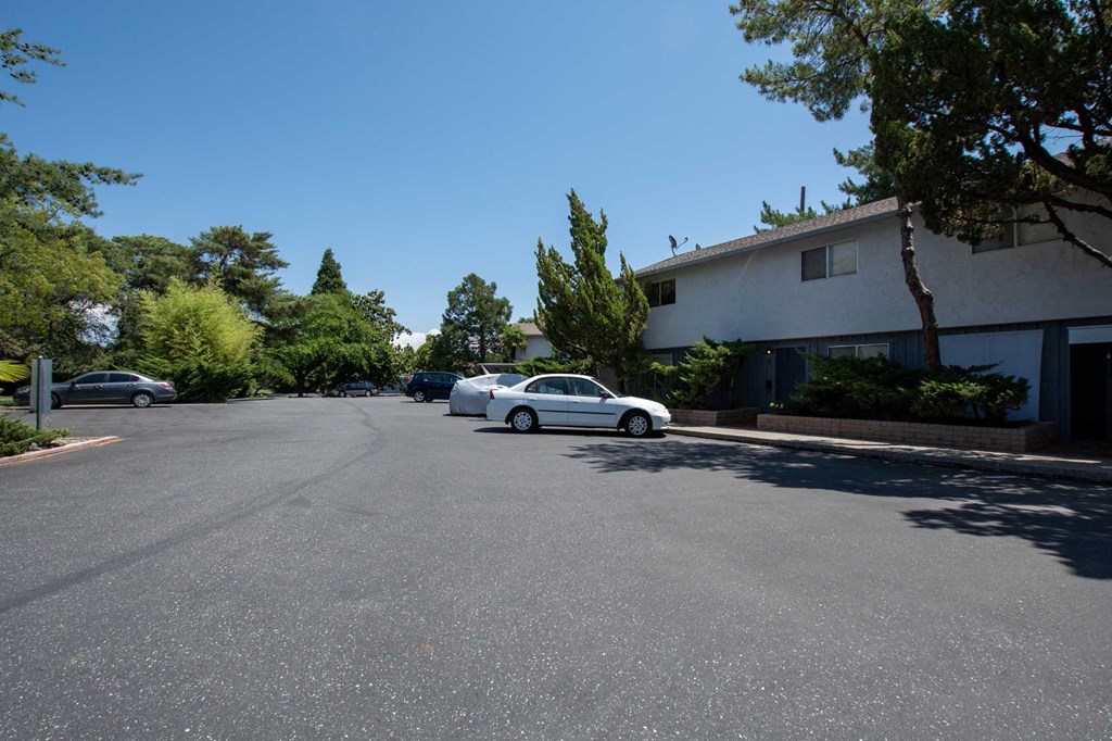 parking lot view of driftwood Village