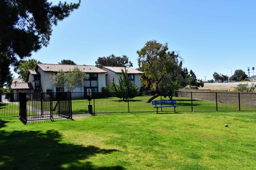 Courtyard and fenced in dog park, lush green grass, buildings in background