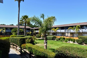 325 Burton Mesa Blvd. 1-3 Beds Apartment for Rent - Photo Gallery 5