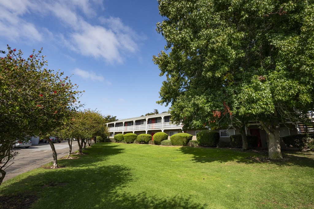View of green space with building and trees in background