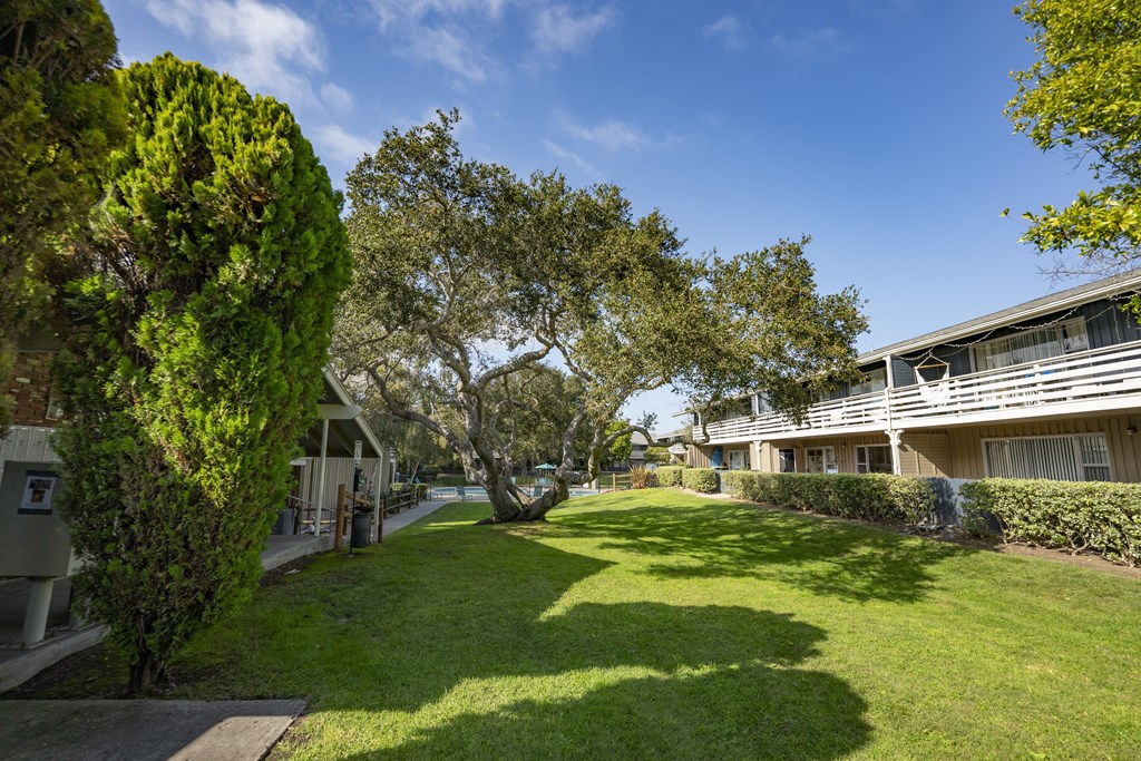 View of green courtyard in between buildings