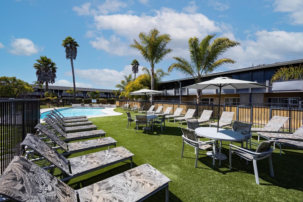 the swimming pool at The Diplomat