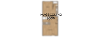 A placeholder image with the text "IMAGE COMING SOON" in the center.
