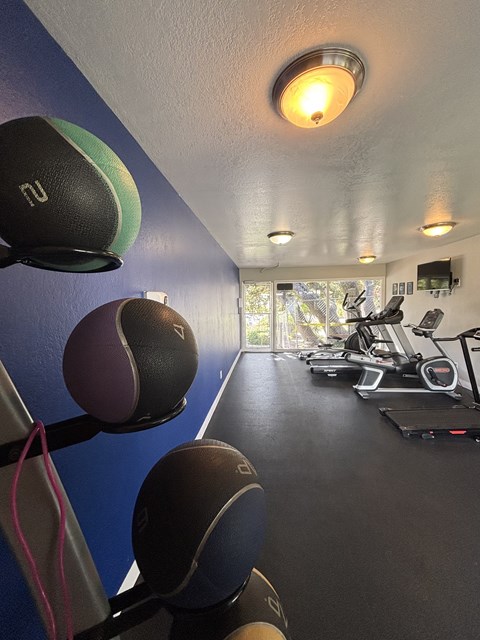 325 Burton Mesa Blvd. 1-3 Beds Apartment for Rent