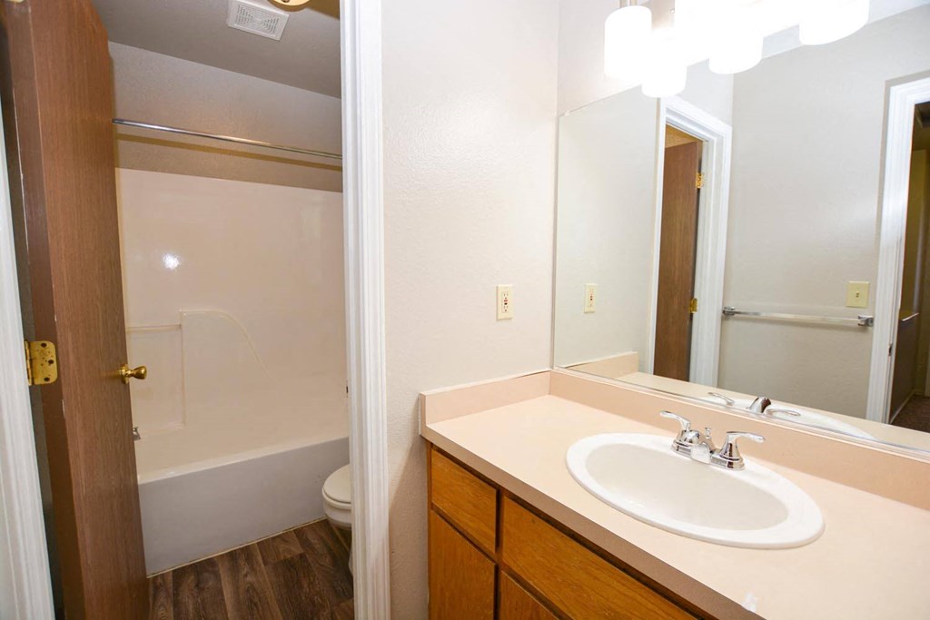 View of bathroom with vanity and sink outside of bathroom with toilet and tub shower