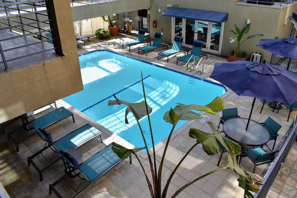 Elevated view into community pool with seating, lounge chairs, and tropical plants