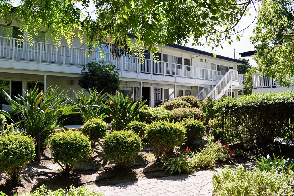View from inside community full of lush landscaping