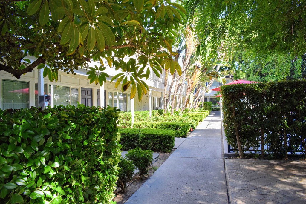 View down sidewalk and front of buildings with tropical landscaping