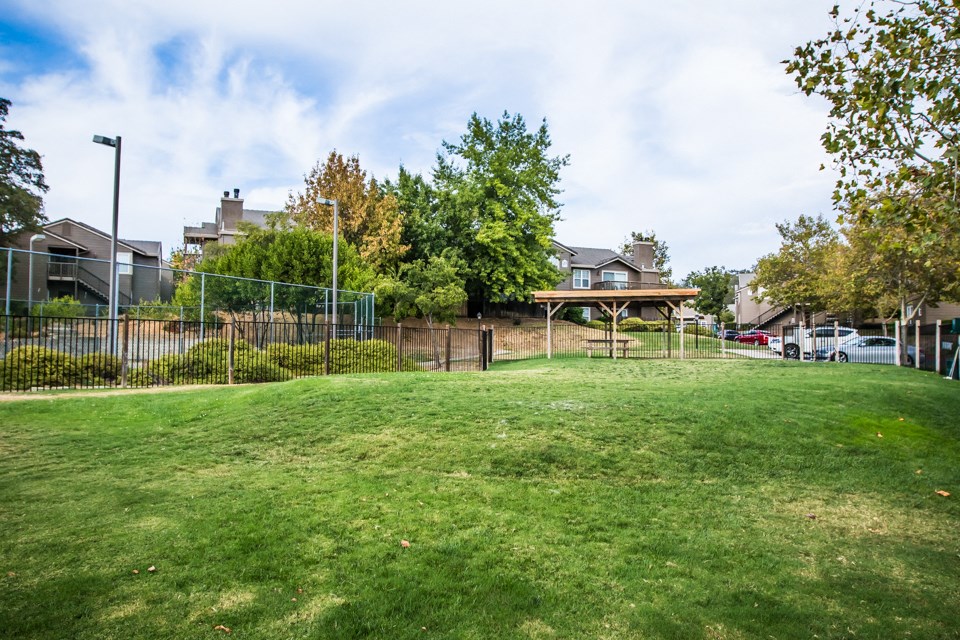 View of gated dog park