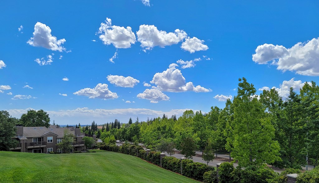 View overlooking Lake Forest