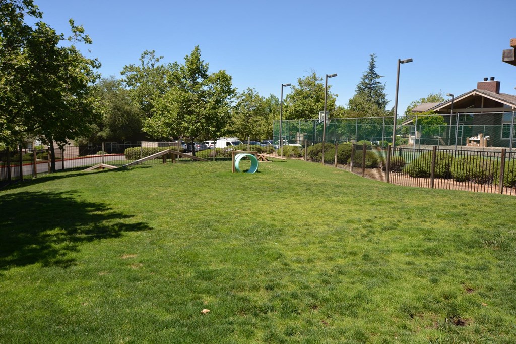 View of gated dog park