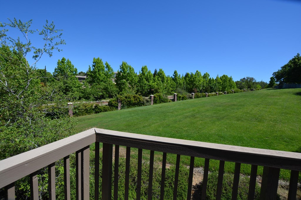 large lawn and trees