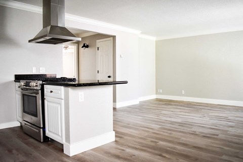A kitchen with a stove top oven and a range hood.