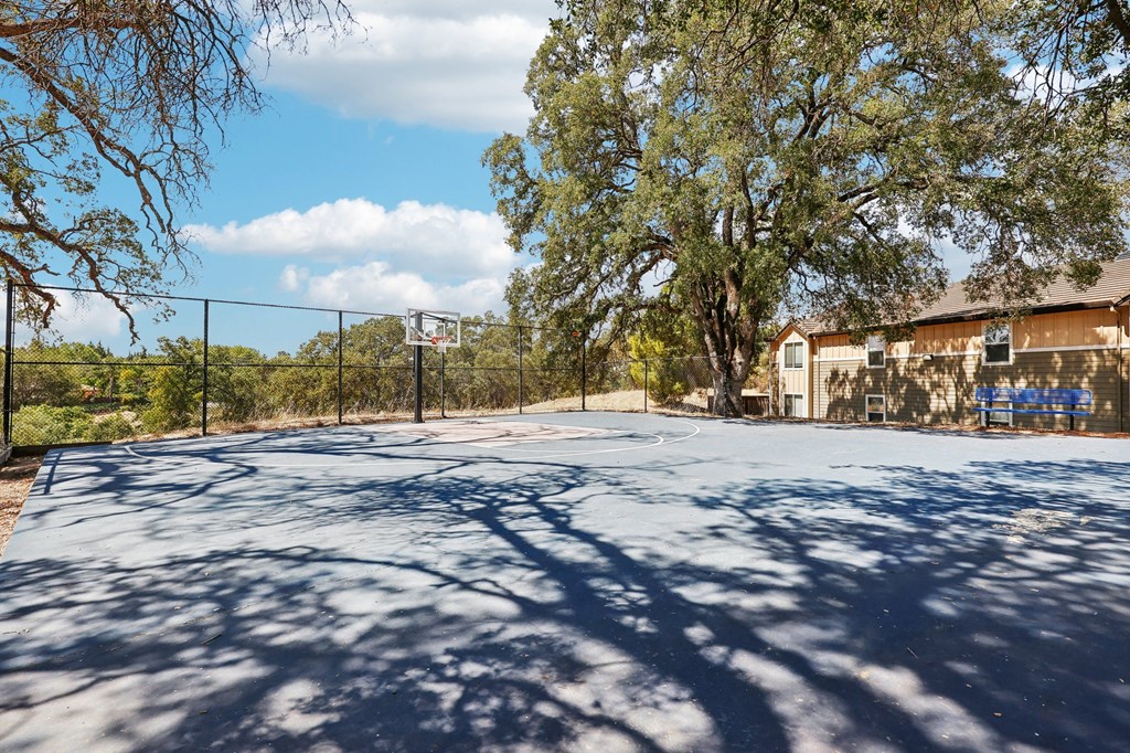 a basketball court with a building in the background and a tree