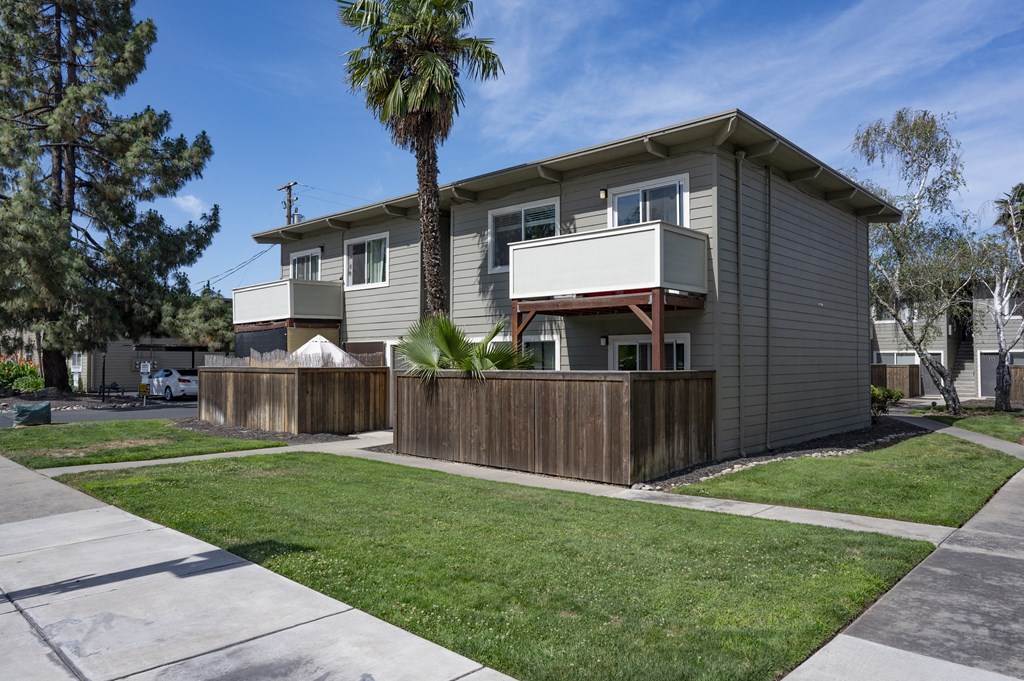 Park Place building with green grass and a palm tree