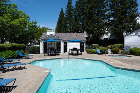 A pool with a blue umbrella and chairs.