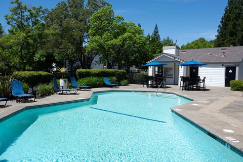 A swimming pool surrounded by trees and a house.
