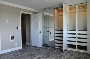 bedroom with large mirrored closet and storage