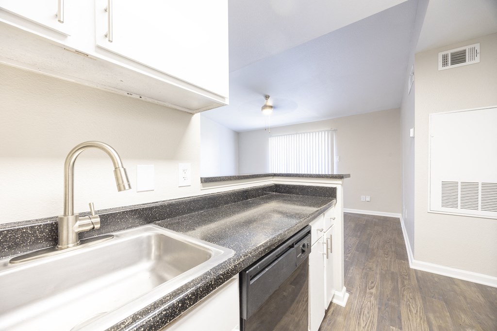 the preserve at ballantyne commons apartment kitchen and sink