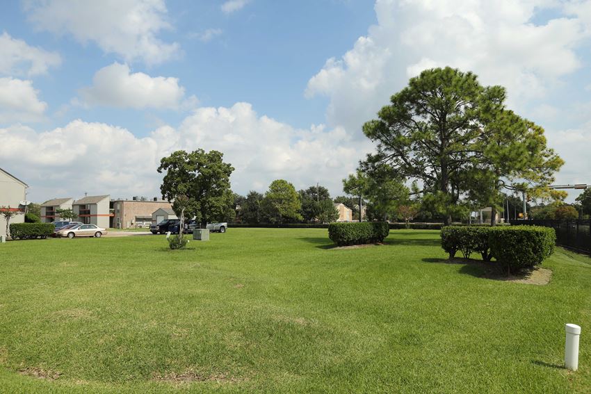 Courtyard a large grassy area with trees in the background