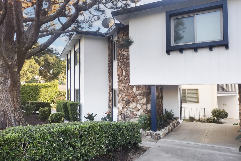 the front of St. James with a sidewalk and a tree
