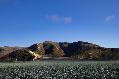 a large field of water with mountains in the background