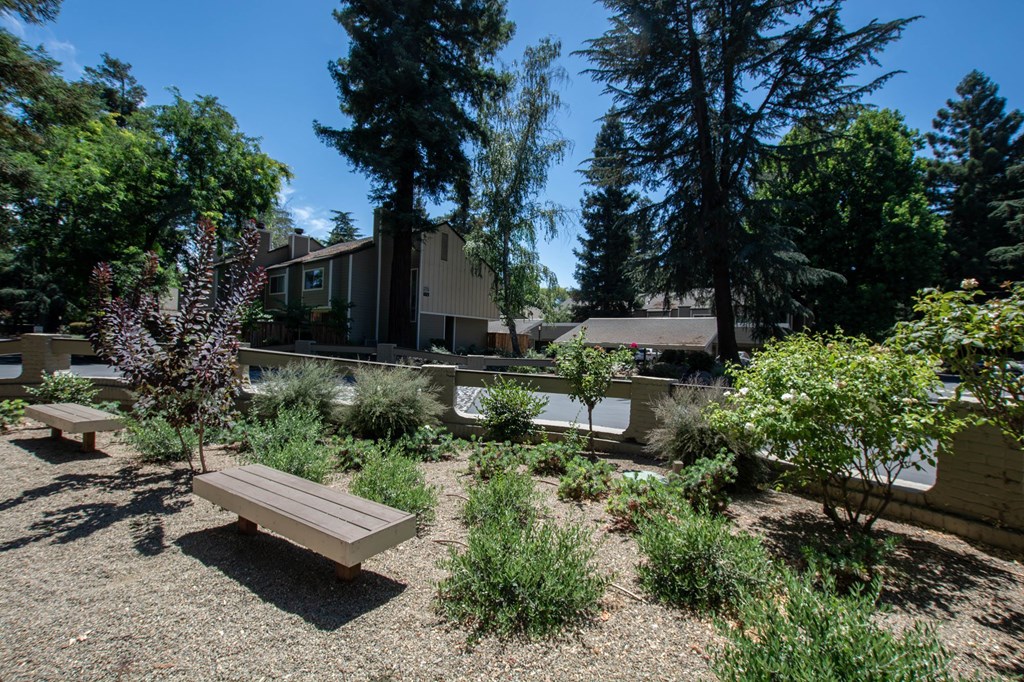 park area with benches and buildings in the background