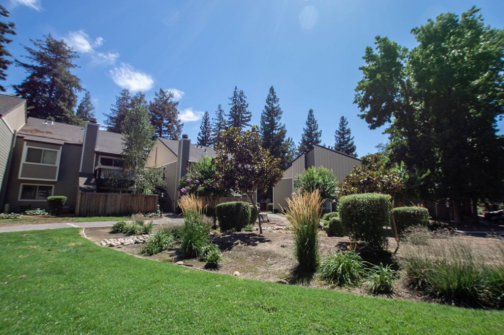 landscaped buildings