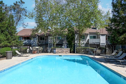 a swimming pool with trees and a house in the background