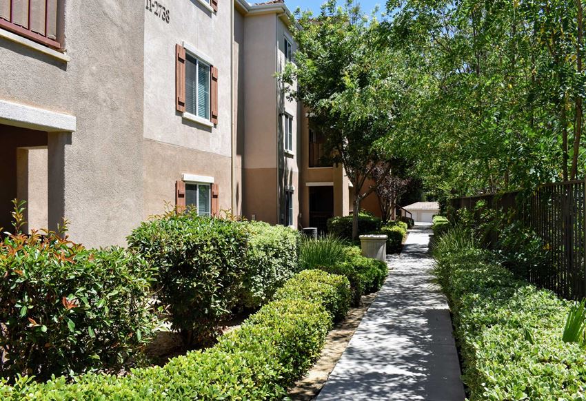 Pathway bordered by lush vegetation