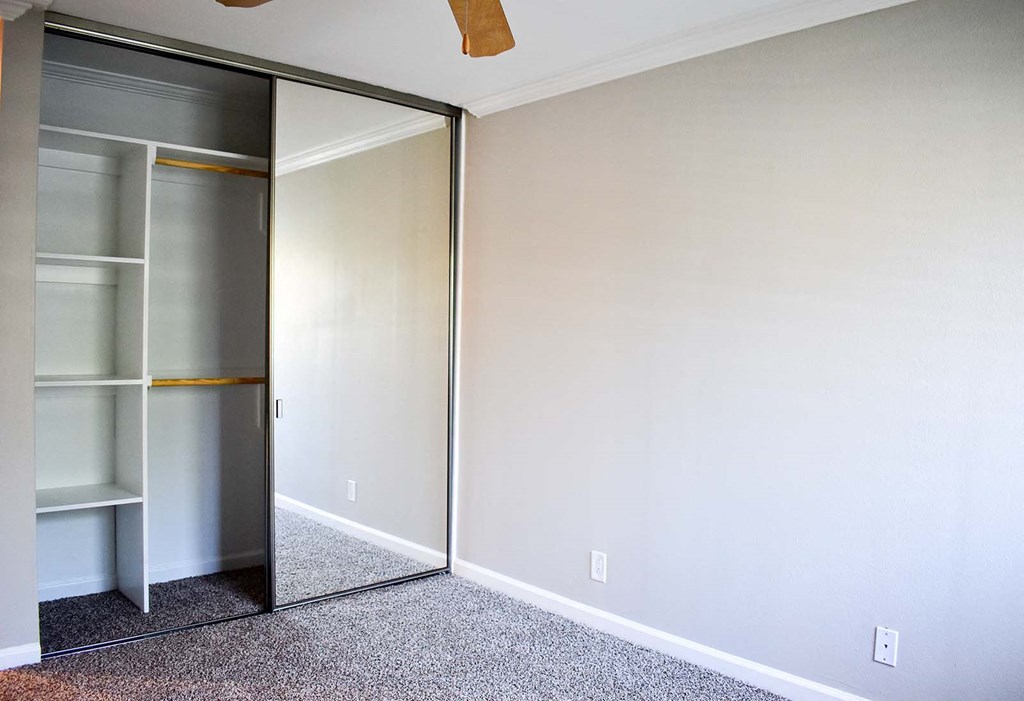 Large floor to ceiling mirrored closet door