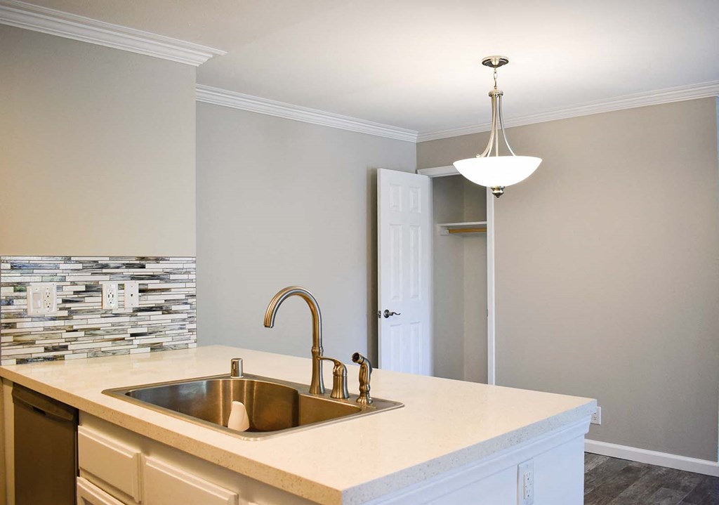 Partial view of kitchen counter and sink, view of living space and coat closet
