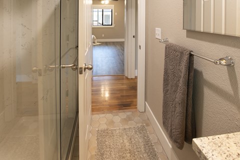 a bathroom with a shower and a carpeted floor and a hallway to a bedroom