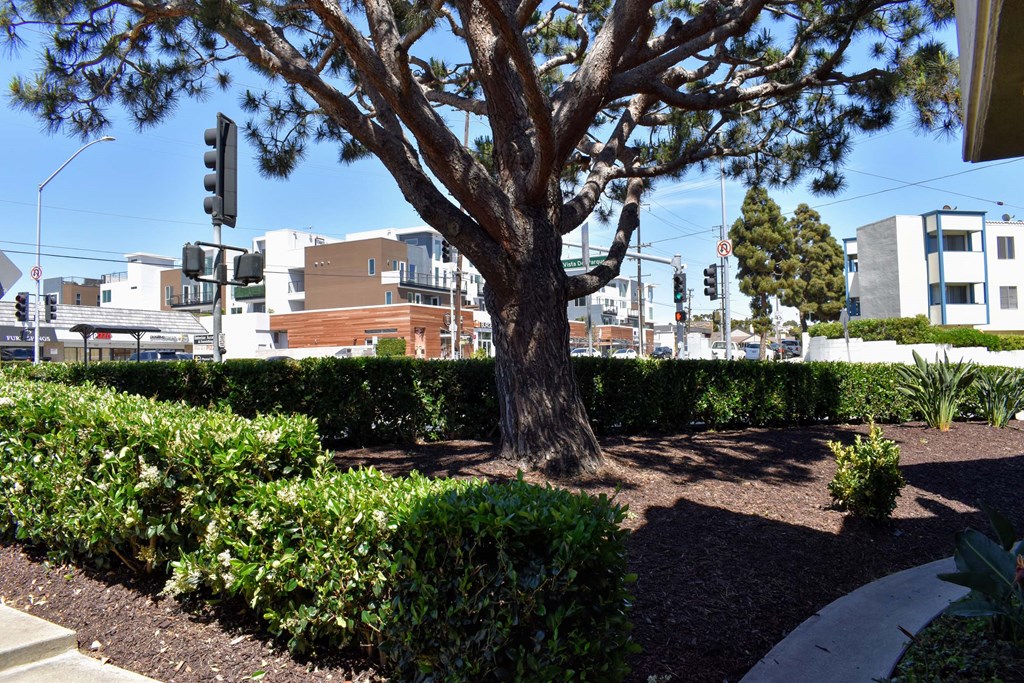 View from front entry of the street view