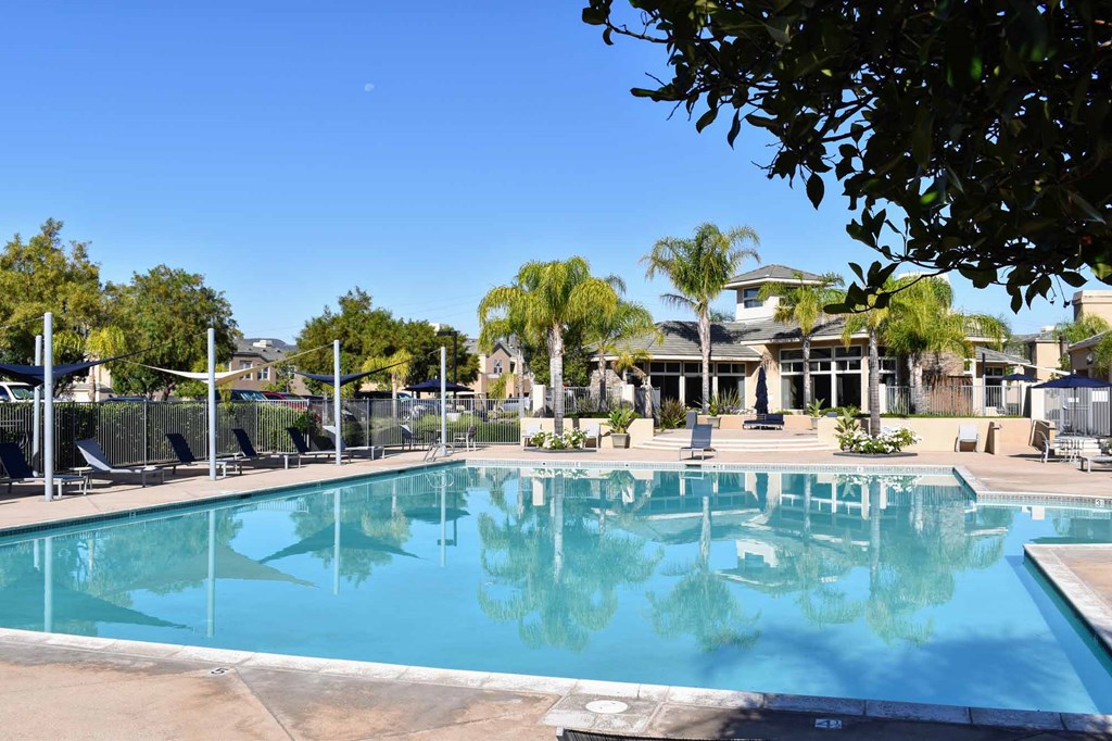 Huge pool and poolside lounge areas