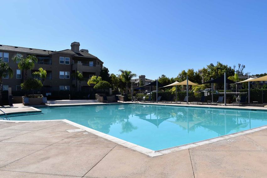 community pool our apartments offer a swimming pool