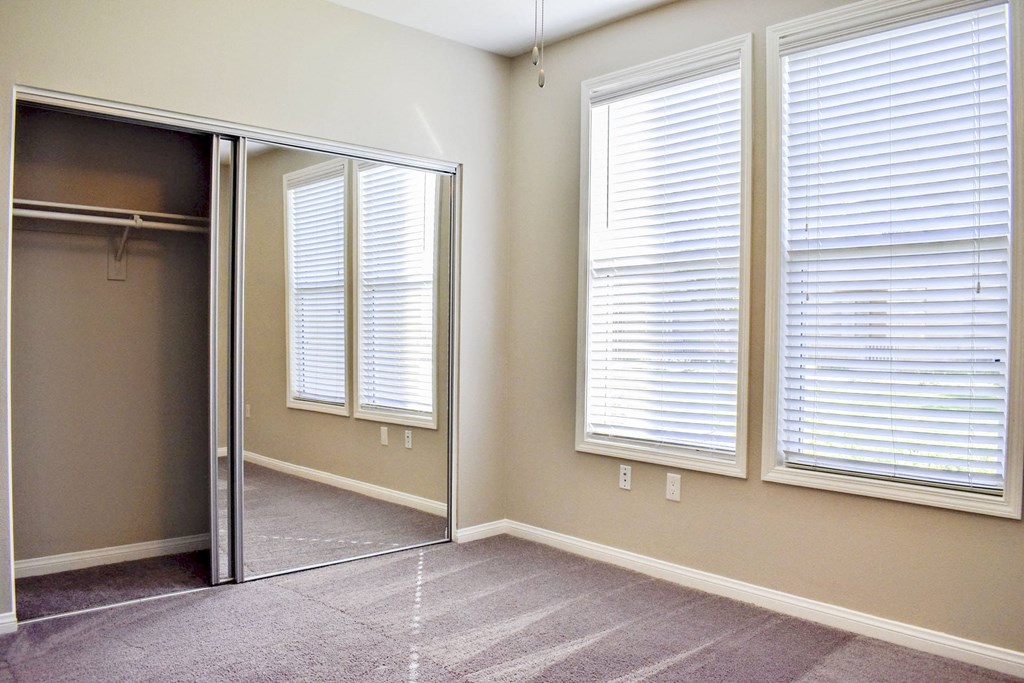 view of mirrored closet doors in a bedroom with well lit windows and carpet flooring