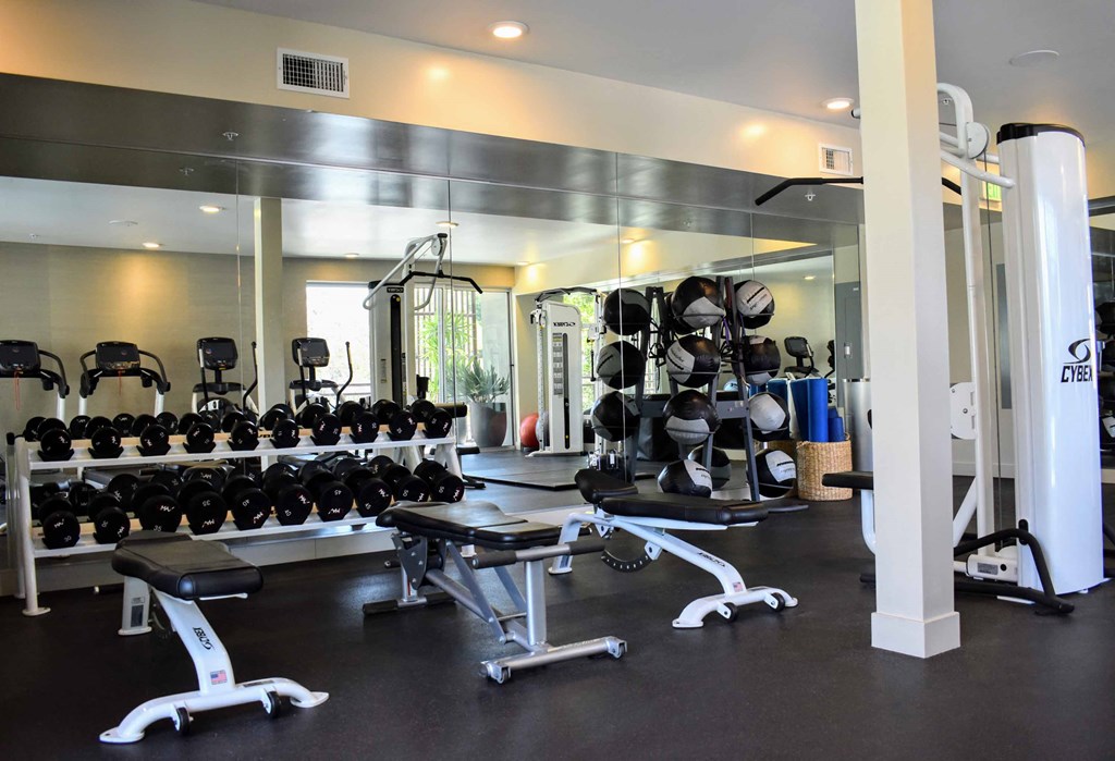 a gym with weights and dumbbells in it