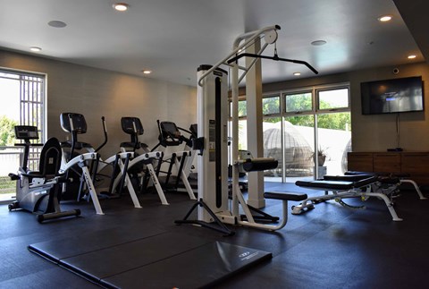 a gym with cardio equipment and a tv