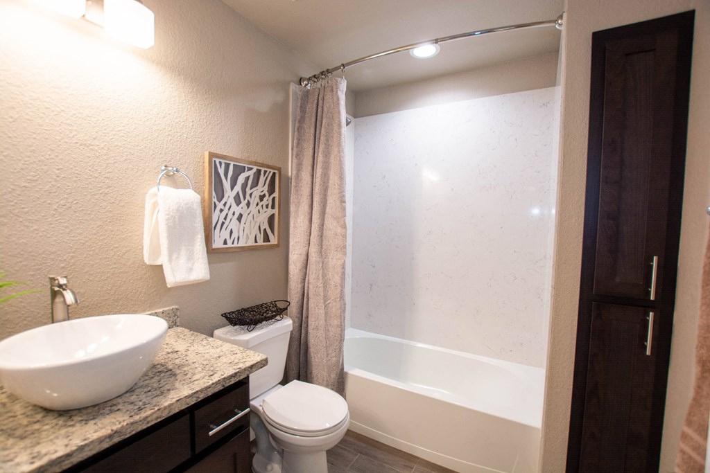 a bathroom with a sink and a toilet and a shower